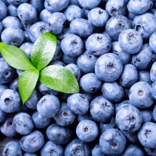 Blueberries